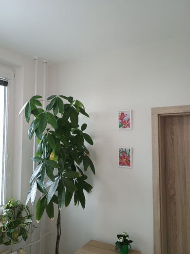 Obývací pokoj po výmalbě bytu Zlín Jižní Svahy